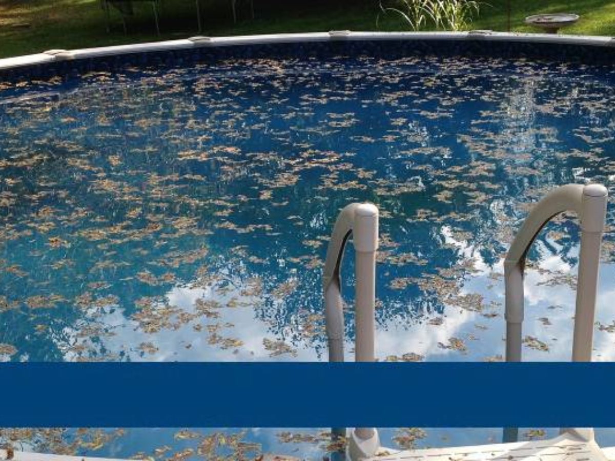 Cuáles son los mejores productos químicos para la limpieza de piscinas?
